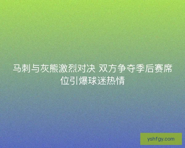 马刺与灰熊激烈对决 双方争夺季后赛席位引爆球迷热情